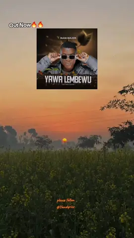 Out Now🔥🔥🔥. #yanolyrics #amapiano #SAMA28 #newmusic #lyricsvideo #amapianoisalifestyle #fypシ゚viral #foryou #yawalembewu 