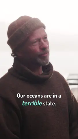 Fighting to save our destroyed marine habitats #NLAwards 