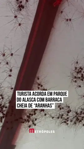 Se você tem fobia de aranhas, não assista a esse vídeo que viralizou no Dia das Bruxas (#Halloween), na última terça (31/10): um turista que estava acampando em um parque dos #EUA acordou no meio da noite com sua barraca invadida por aracnídeos. A gravação que vem dando arrepios em muitos internautas foi feita pelo mochileiro americano E. Kramer no parque nacional Lake Clark National Park & Preserve, no #Alasca. As imagens foram compartilhadas no Facebook pelo perfil do parque e mostram o interior da barraca, que parece translúcida pela luz da lanterna do turista, enquanto é invadida por centenas de supostas aranhas de pernas compridas. #TikTokNotícias 