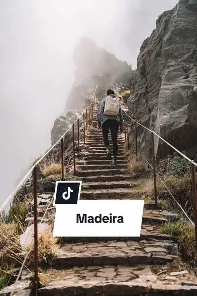 So many beautiful memories! #madeira  #travel #travelmadeira #cameraroll #visitmadeira