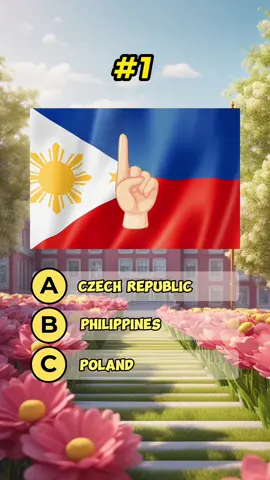 How many did you get correct? #guesstheflag #countryquiz #questions #challenge #trivia #fypシ 