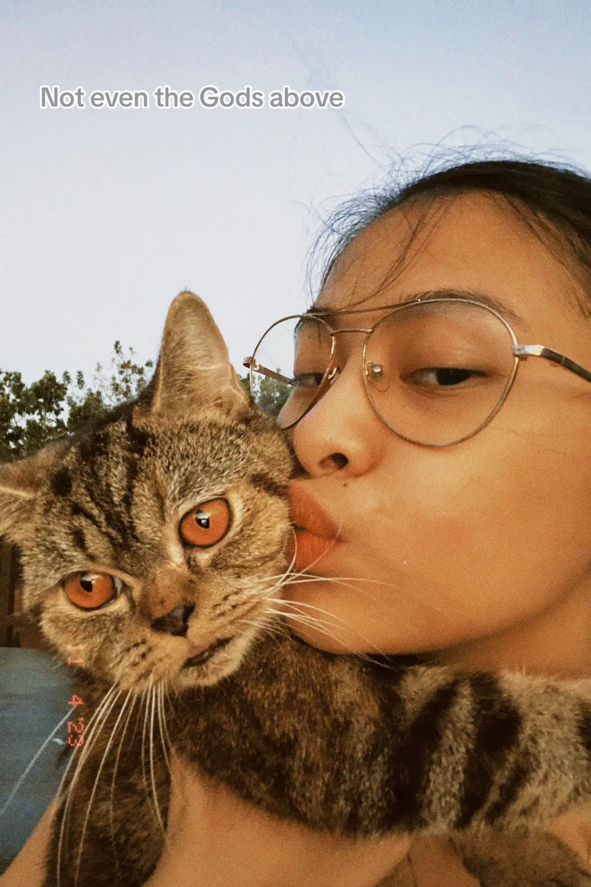 Forever ka love ni mommy bella, I love you!!🕊️🤍 #cat 