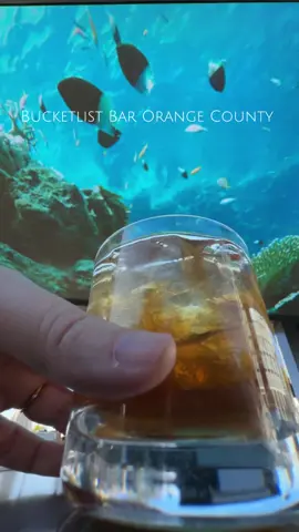 🐠 Drinking under the sea? Yes please.  Follow for more bucketlist bars 🍹  A coral reef projects these fish right above you at the Edge Bar.  Perfect for sunset cocktails with your significant other or a girls night.  I’m going to keep it reel, we did not like our cocktails here. Although we did like the ambiance, when we go back we would order beer, wine or champagne instead.  📍 The Edge - Pool Bar at VEA Hotel, Newport Beach, CA . . . . . . . . Bucketlist bars, Unique date night spots in OC, #orangecounty #travelfoodie Girls Night out Newport Beach #californiatravel #cocktailcouple #bucketlistbars Date ideas In SoCal, Fun Date night ideas Los Angeles 