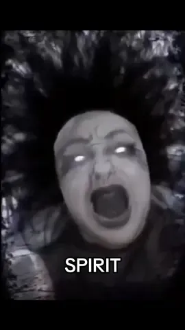 Spirit Dead by Daylight (DBD) #wanessawolf #wanessawolfoficial #wanessawolfmemes #foryourpage #foryou #fyp #dbd #deadbydaylight 