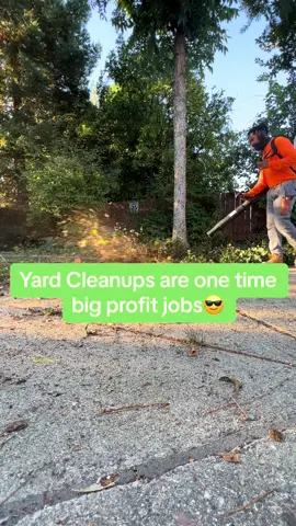 Whats your opinion on onetime yard cleanups🤔🤔 #lawncare #lawnmaintenance #landscape #landscaping #garden #gardening #yardwork 