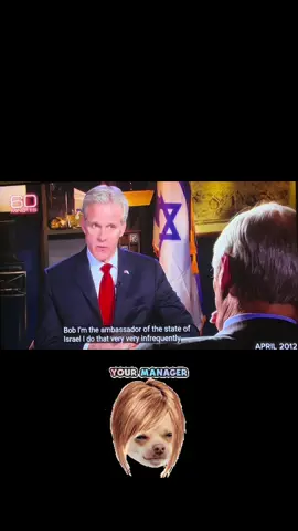 Replying to @Paul Apparently it is! I love 60 Minutes for this clip 😂 #israelitourism #michaeloren #bobsimon #60minutes #freepalestine 