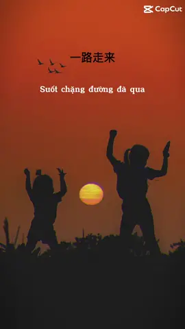 Tuy không xuất sắc nhưng tôi không lừa dối hay làm việc xấu 😊 #tiengtrung #nhactrung #tamtrang #xuhuong 