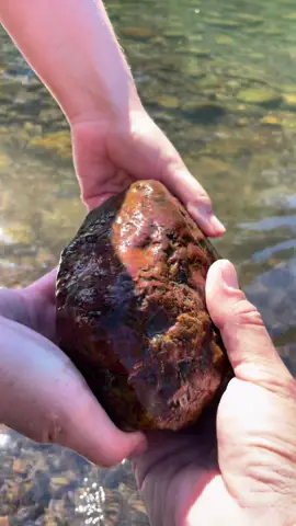 This 4 pound agate cleaned up well! Had to soak it in an iron out solution to get that tough staining off. Turns out this is a beautiful dark red carnelian with micro banding on the crust. Absolute stunner from the river. So happy she checked this! #carnelianagate #riveragate #river #rockhounding #rockhound #hobby #couplegoals #explorewa #wa #washington #4pound #findoftheday #crystals #agates #ironout #crystaltok