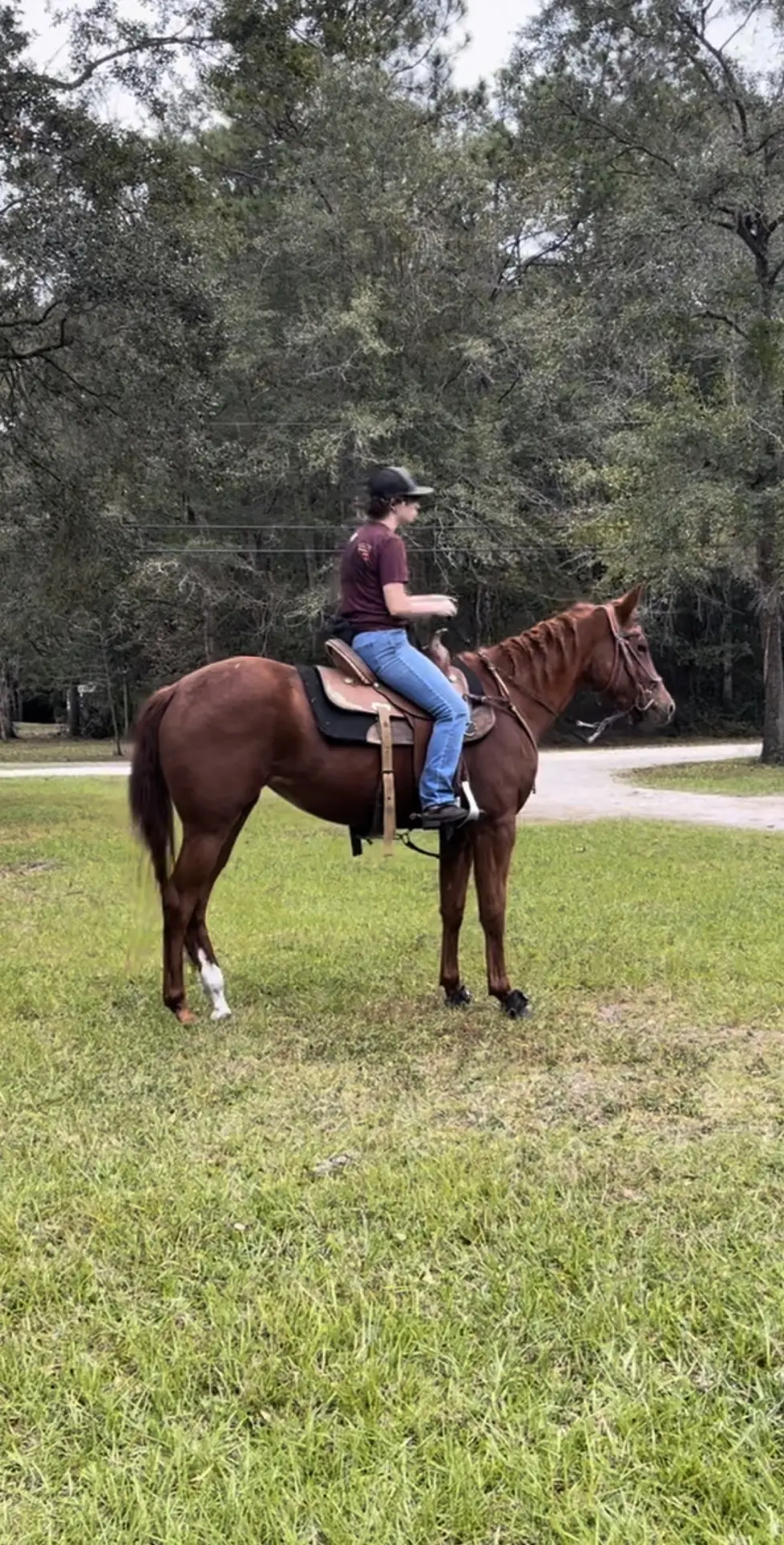 🙃 #drafts #timeflys #babyhorses #grownup 