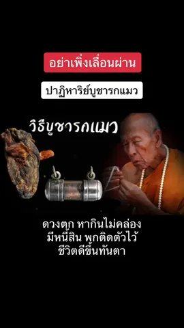 #รกแมว #รกแมวนําโชค 