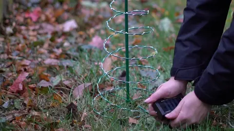 Solar Christmas tree#minichristmastree #christmasdecor #christmasmood🎄 