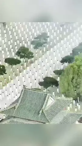 Enthusiasts come to Wudang Mountains in central China's Hubei to practice Tai Chi. For centuries, the Wudang Mountains have been known as an important center of Taoism, especially famous for its Taoist versions of martial arts or Tai Chi.  #wudang #wudangmountains #taichi #martialarts #Chinesekungfu #humanandnature #philosophy #harmony #TheWorldConferenceonWudangTaiChi