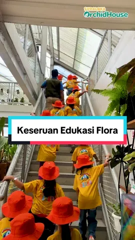 Edukasi bercocok tanam di Suraloka Orchid House untuk melatih kemandirian anak, menambah wawasan anak dan mengenalkan secara langsung manfaat tanaman, dan cara menanam juga manfaat dari tanaman yang kita tanam bagi tubuh kita. Tanaman nya bisa dibawa pulang loh! 🥰 #suralokaorchidhouse #suralokaorchid  #jogja #fyp #bercocoktanam #edukasitanaman #edukasiflora #edukasi