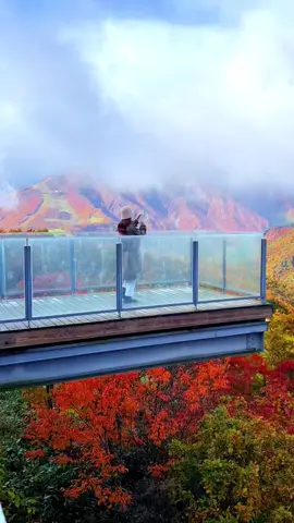 Hakuba vào mùa thu thật đẹp #hakuba #nagano #japantravel #cuocsongnhatban #lehoinhatban #dulichnhatban #lehoinhatban🇯🇵 #Địa 