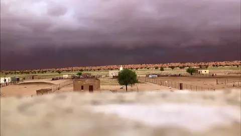 @مُـصَـمِـمْ مُـورِيـتَـانِـي📽 لا كلت الريح أن تهدي لنا خبر #المشاهدات #الهول_الحساني #سدوم_ولد_أيده #الخليفة_ولد_ايدا #ديمي_منت_ابا #الشعب_الصيني_ماله_حل😂😂 #capcut #fypシ 