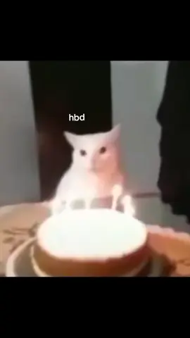 hbd jir #bmoots?? #mootsssssssssssssssss?????? #fypシ #fouryou #hbd #cat #memestiktok #catlovers #fyppppppppppppppppppppppp #bismillahirrahmanirrahim #hbd #4up #xyzbcafypシ #fypdonggggggg #😁 