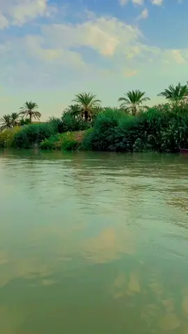 #ياساهر#الليل #رعد_الناصري #موال #ريفي #لايك_متابعه_اكسبلور #اهوار_العراق #الجنوب #متابعه_ولايك_واكسبلور_فضلا_ليس_امر #شط #العراق_السعوديه_الاردن_الخليج 