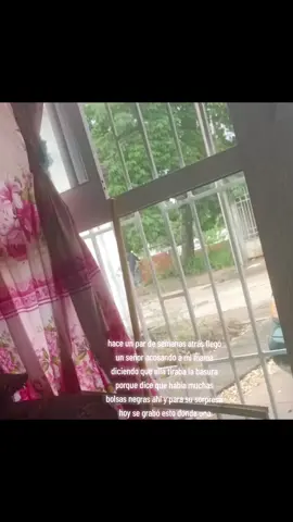 #vecinos que vienen a tirar basura frente de tu calle o al lado de tu casa #capta una cámara el momento exacto donde un hombre va y tiene una bolsa negra de basura contaminando el medio ambiente con plásticos las multas van de $4000 a más por tirar basura y contaminar el medio ambiente #hace un par de semanas vino un señor acosando a mi mamá que ella era la que tiraba la basura porque decía que había muchas bolsas negras hoy sin querer estaba yo grabando y sale un señor a tirar su bolsa de basura en nuestra calle y ahí nos dimos de cuenta quién es el que viene a tirar la basura por favor ustedes no tiren basura en la calle ya que está penalizado hay que cuidar el medio ambiente