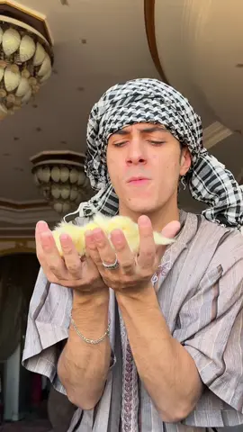 اكبر كتكوت اشتريته عاش معاك قد ايه ؟🥲😂😂😂.. #ابودم_خفيف🌹 . 