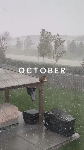 🦇 #october #cameraroll #cameradump #octoberdump 