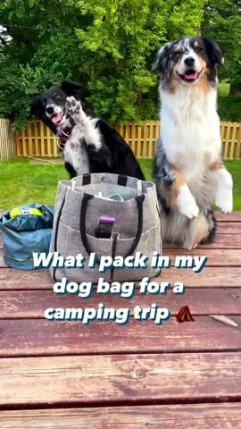What I pack in my dog bag for a camping trip ⤵️ Links for most of these are in my profile! ➡️ @Skout’s Honor® Pet Wipes (code: Aussie) ➡️ Skout’s Honor Paw Balm ➡️ Skout’s Honor Flea & Tick Spray ➡️ @farmhoundstreats Beef Hide Rolls (code: Aussie10) ➡️ @farmhoundstreats Duck Jerky ➡️ @Benebone Fish Bone chew ➡️ @Ruffwear Kibble Carrier (discount link in bio) ➡️ Collapsible dog bowls (in my Amazon storefront link) ➡️ @E-Collar Technologies Mini Educator E-Collar ➡️ Herm Sprenger Prong Collar ➡️ Biothane leashes Need to add any of these to your camping supplies?? I love each of these products so much for camping!  Let me know what your go-to’s are for camping with your pup in the comments! #campingwithdogs #camping #campingtips #travel #travelwithdogs #dogfriendlytravel #Outdoors #hikingwithdogs #doggear 