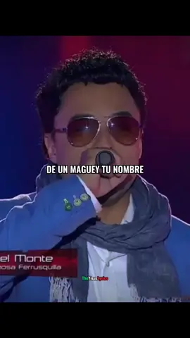 ¿QUIEN MÁS NO PUEDE DEJAR DE VER ESTE VIDEO?...😎💚 #fyp #parati #thevoice #VicenteFernandez #laleydelmonte #theyisuslyrics #viral 