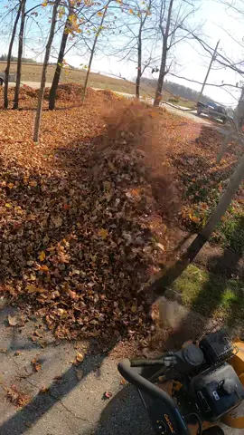 🍂 #satisfying #asmr #leafblowing #autumn 