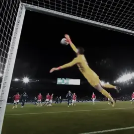 I miss de Gea💔  #theartofgoalkepping #theartofgoalkeeping #goalkeeper #portero #futbol #degea 