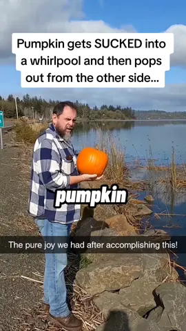 The pumpkin literally POPPED OUT at the end 🎃 #Pubity (Elizabeth Parker via @ViralHog) 