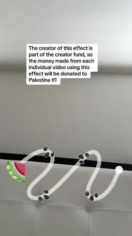 USE THIS EFFECT 🍉 to help the people in Gaza 💔 takes 15 second #fyp #watermelon #relatable 
