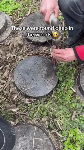 These were found deep in the woods 😳