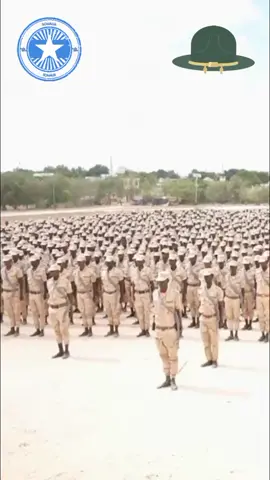 #Somali #military #trained #Eritrea  #mogadishu #somalitiktok #fy #fyp #somalimilitary #daljir #dalxureye 