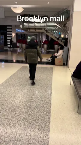 Brooklyn mall  new york usa #brooklyn #newyork #usa #america #fyp #viral #explore #fry 