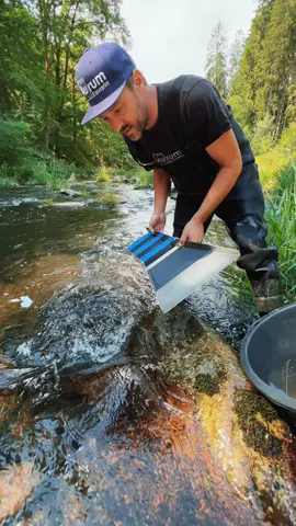 Gold prospecting in Germany 🇩🇪 #viral #gold #oro #emas #goldpanning #goldprospecting #minerals #goldrush #goldnuggets #jewelry #1min #diamonds @Golden_Hamster @🥇👸GoldQueen👸🥇 @Chercheur d’or✨ 