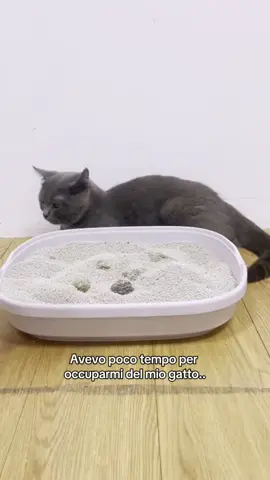 Secondo te è utile? #viral #catsoftiktok #catlover #cat 