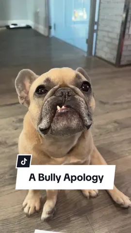 Should I tell him what it really said? #schoollife #endbullying #parenting #dogparent #spellingbee #reading #frenchbulldog #jasonbankscomedy cred @Jason Banks  @Somefrenchienamedapollo  @Somefrenchienamedapollo 