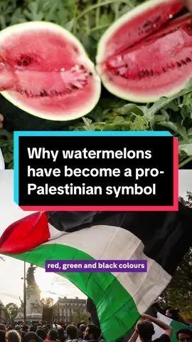 Watermelons have become a pro-Palestinian symbol of support - here's why. #c4news #channel4news #palestine #gaza #watermelon 