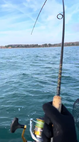 big momma #wiscouncut #fishtok #fishing #laketrout #laketroutfishing #lundboats #stcroixrods #fyp #troutfishing #trouttok #lakemichigan #shimano #simmsfishing #hukfishing #clamoutdoors #googansquad 