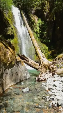 Nothing like flying through the lush forest to this stunning waterfall! Its cascading waters shimmering with a mesmerizing shade of blue in the pool below. Such a tranquil and picturesque oasis in the heart of the wilderness 😍 #waterfall #flying #forest #wilderness #fpv #djiavata #godislove #natureshots #oregonexplored #pnwadventures 