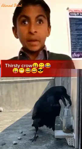Who has heard the story of the thirsty crow? #thirstycrow #trendingvideo #foryou #foryoupage💝❤️🧡🔥🔥😘😘😘💯 