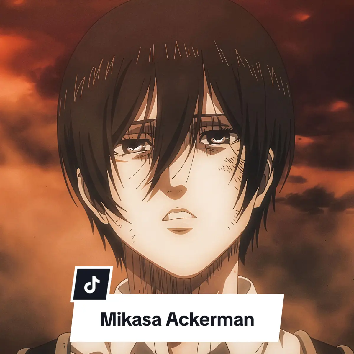 Anime: Shingeki no Kyojin || Fotos de Perfil || Anime  . . . #mikasa #mikasaackerman #shingekinokyojin #fotosdeperfildeanime #anime #animeedit #animetiktok #yuuzone 
