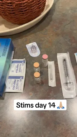 Stims day 14 🙏🏼🙏🏼 grow follies, grow!  #stims #ivf #folliclescan #follicles #ultrasound #infertility #lowamh #dor #fyp #fypシ #ganirelix #menopur #follistim #growfolliclesgrow 