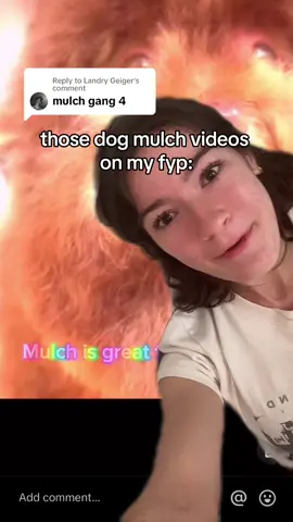 Replying to @Landry Geiger MULCH GANG FOR LIFE 😊😊 #mulchgang #mulchgangforlife #voiceimpressions #foryoupage #greenscreen 