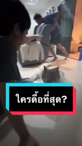 ใครดื้อที่สุด? #โจอี้ภูวศิษฐ์ #janehoho Cr.คลิปจากไอจีโจอี้