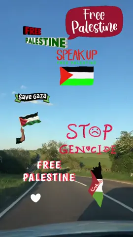 Free palestine🇵🇸#fyp #foryoupage #freepalastine🇵🇸❤️ #freepalestine #stopgenocide #femaletaxidriver #savegaza #savegazapalestina🇦🇪🇦🇪 