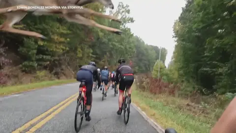 Deer crossing! Astonishing footage shows a deer leaping right over a cyclist as he was taking part in a ride in South Carolina. #deer #bicycle #cycling