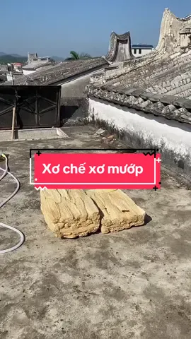 Chế biến xơ mướp#TikTokAwardsVN2023 #thinhhanh #xuhuong #xuhuongtiktok 