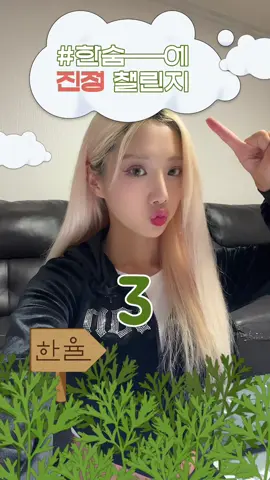 이거 은근 오기 생기는뒈?! @한율 HANYUL #한율 #한숨에진정챌린지 #어린쑥크림 #쑥시카크림 #한율어린쑥 #챌린지 