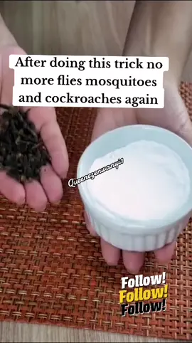 After doing this trick no more flies mosquitoes and cockroaches again #queenezenwanyi1 #foryoupage #homemaderemedies #healthy #homemaderecipes #foryou #DIY #naturalrecipes #Recipe #fypシ゚viral @Queen ezenwanyi1 @Queen ezenwanyi1 @Queen ezenwanyi1 @ezenwanyibackup @Ezenwanyi's Diary @This Recipe 