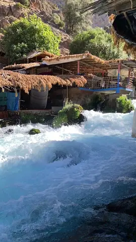 Oum errabiâ أم ربيع  #atlas  #oumrabiaâ #khenifra #maroc #amazigh #أم_ربيع #خنيفرة #الطبيعة #nature #morocco 